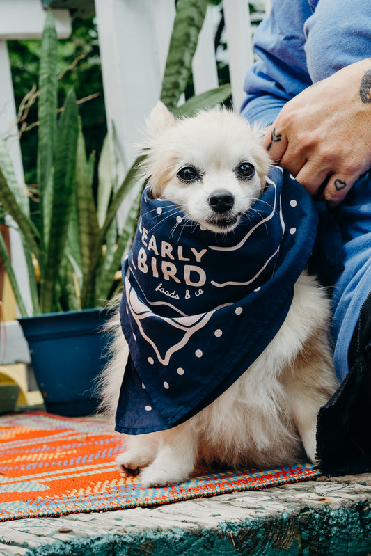 Early Bird Bandana